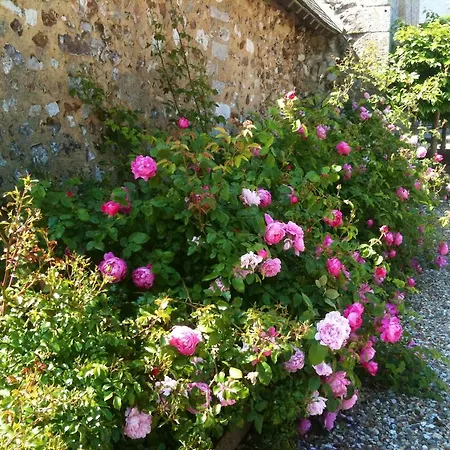 Country house Residences Le Clos Du Manoir - Self Cooking Gauciel