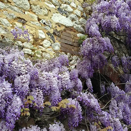Residences Le Clos Du Manoir - Self Cooking Gauciel