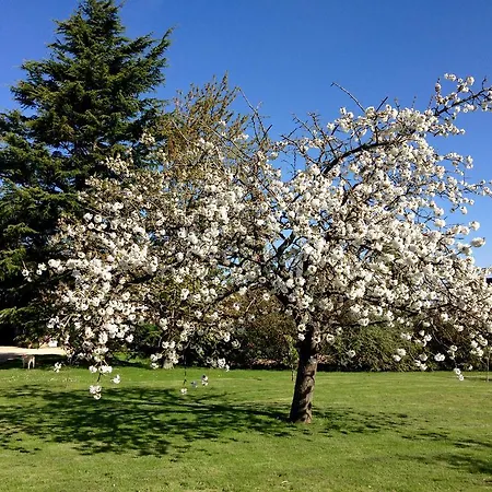 Résidences Le Clos Du Manoir - Self Cooking Casa rural *