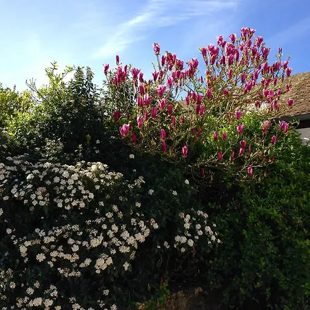 Residences Le Clos Du Manoir - Self Cooking * Gauciel