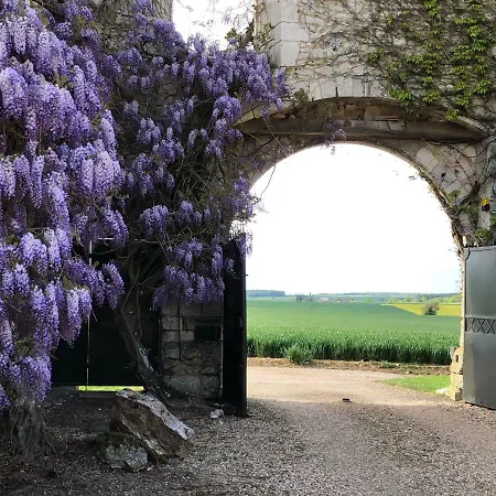 Residences Le Clos Du Manoir - Self Cooking カントリーハウス