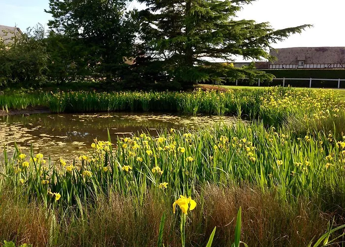 Country house Residences Le Clos Du Manoir - Self Cooking Gauciel
