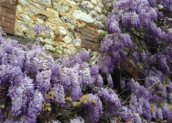 Residences Le Clos Du Manoir - Self Cooking Gauciel
