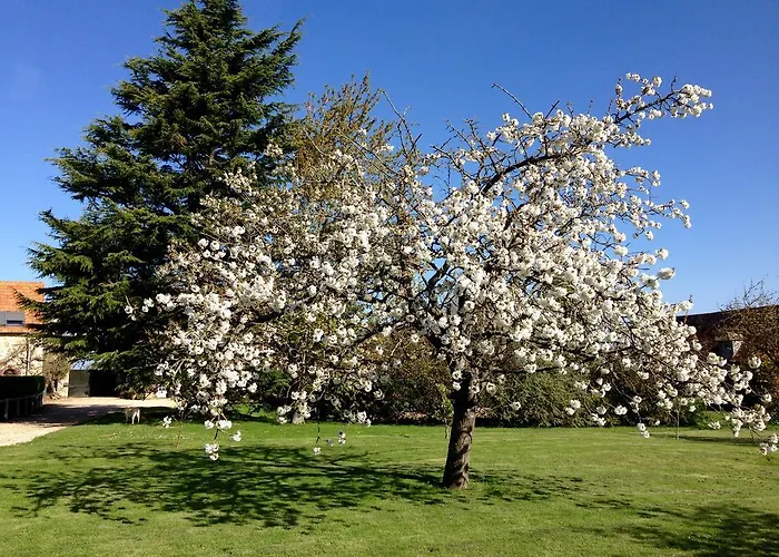 Residences Le Clos Du Manoir - Self Cooking Country house *