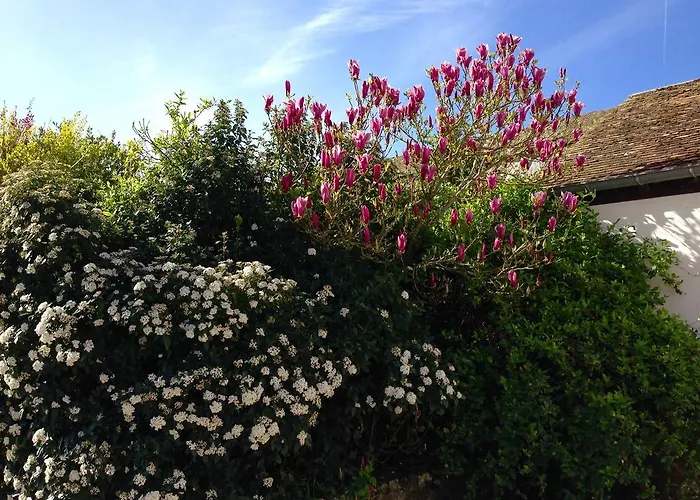 Residences Le Clos Du Manoir - Self Cooking * Gauciel